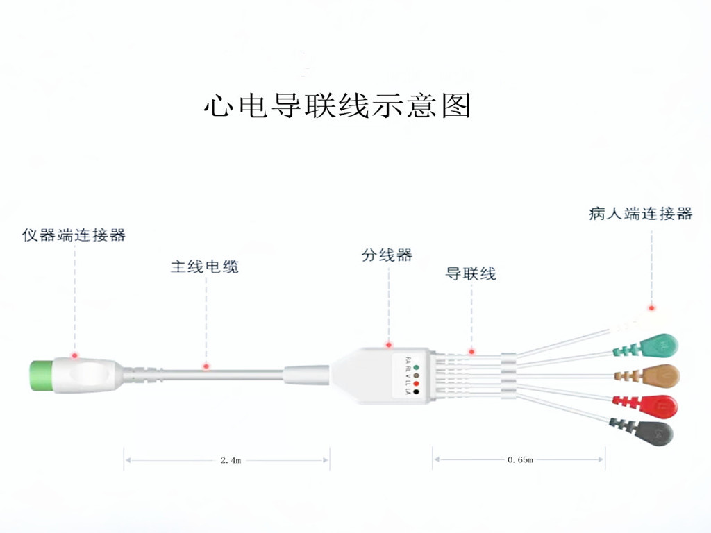草莓在线播放首页入口心电导联线
